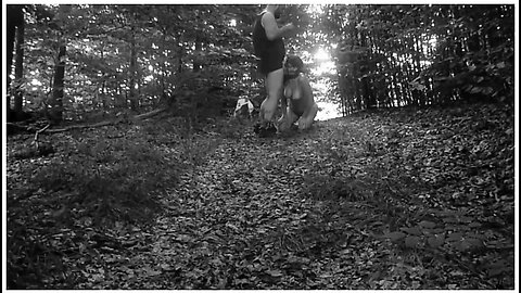 Submissive Slut Taken For A Walk On A Leash In Forest
